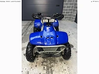 Polaris trail boss 330 quad - afbeelding 3 van  7