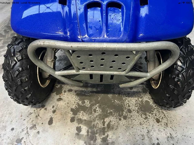 Polaris trail boss 330 quad - afbeelding 4 van  7