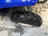 Polaris trail boss 330 quad - afbeelding 5 van  7