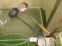 Pollepels - afbeelding 1 van  1