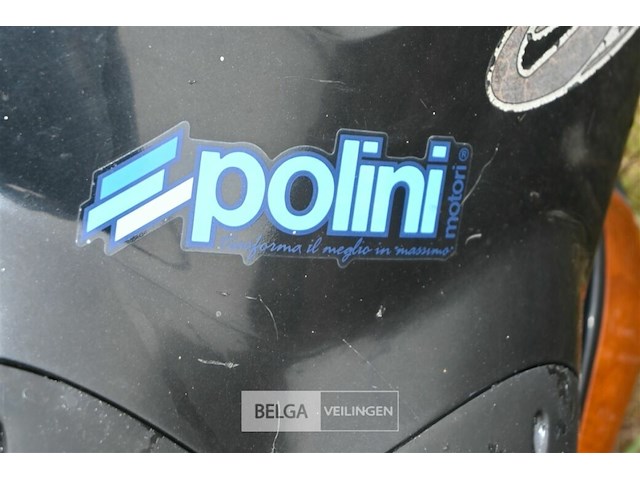 Poloni scooter - afbeelding 3 van  6