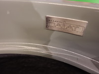 Polyester bloempot dalat met autolak - afbeelding 6 van  6