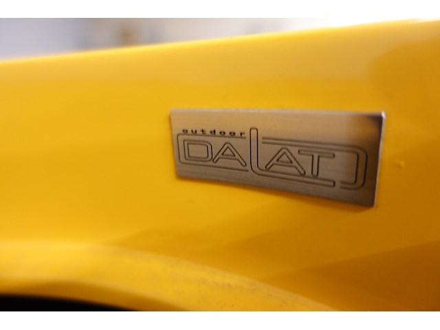 Polyester bloempot dalat met autolak - afbeelding 6 van  6