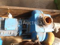Pompen johnson pump met motor lönne - afbeelding 2 van  3