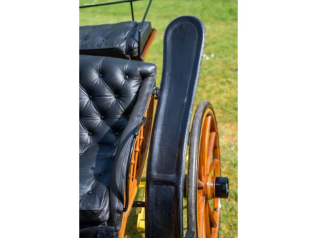 Pony park phaeton - afbeelding 4 van  43