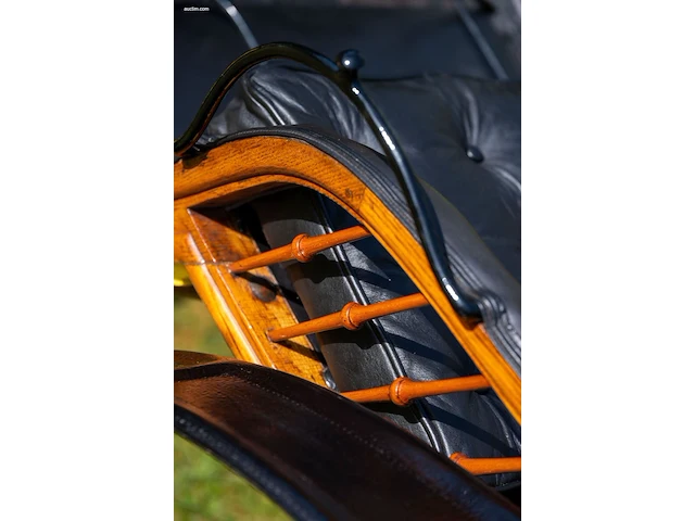 Pony park phaeton - afbeelding 19 van  43