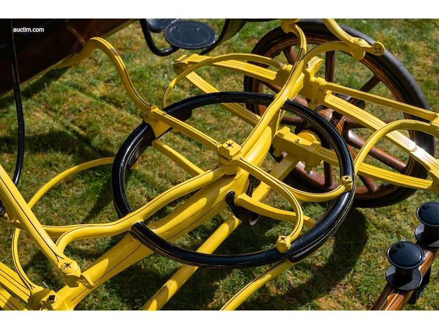 Pony park phaeton - afbeelding 21 van  43