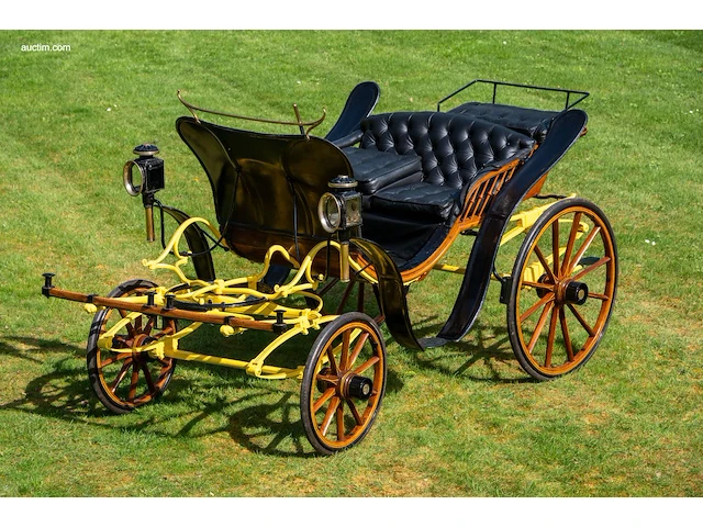 Pony park phaeton - afbeelding 12 van  43