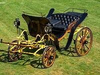 Pony park phaeton - afbeelding 12 van  43