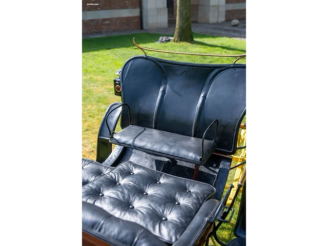 Pony park phaeton - afbeelding 24 van  43