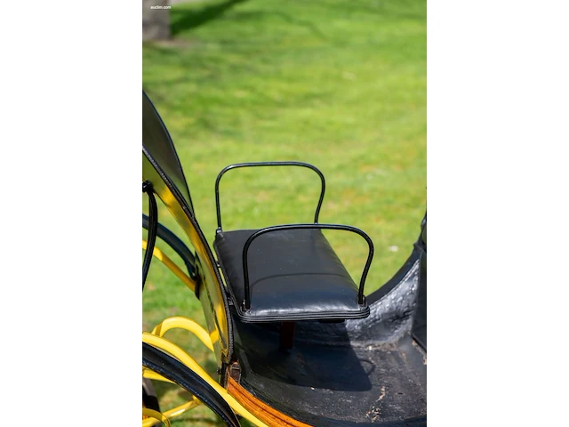 Pony park phaeton - afbeelding 28 van  43