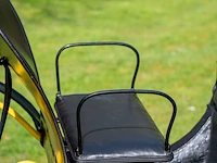 Pony park phaeton - afbeelding 28 van  43