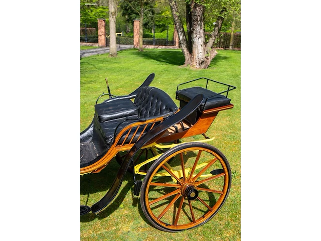 Pony park phaeton - afbeelding 29 van  43