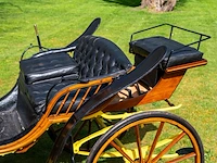 Pony park phaeton - afbeelding 29 van  43