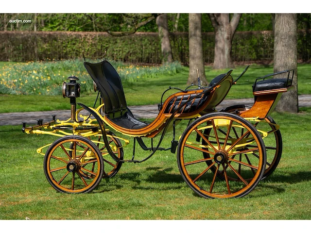 Pony park phaeton - afbeelding 34 van  43