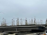 Poort demonteerd - afbeelding 3 van  3