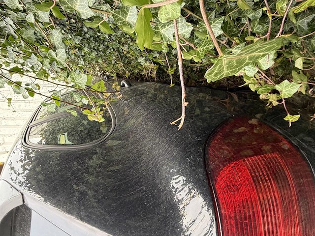 Porsche cayenne s, 2004 - afbeelding 16 van  19