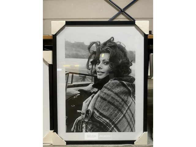 Portret sofia loren - afbeelding 1 van  1