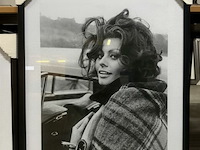 Portret sofia loren - afbeelding 1 van  1