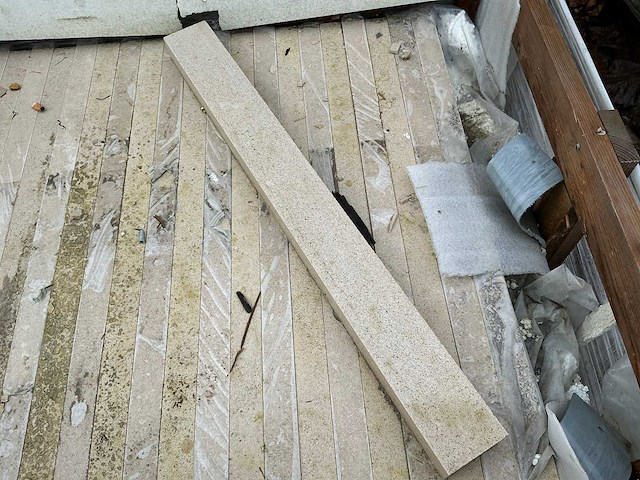 Portugese kalksteen (672x) - afbeelding 2 van  4