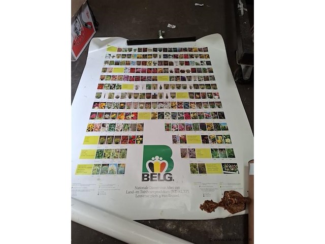 Poster - afbeelding 1 van  2