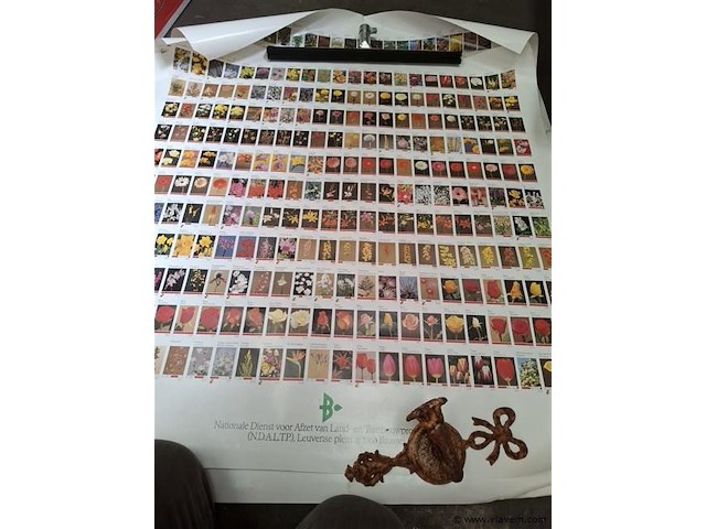 Poster - afbeelding 2 van  2