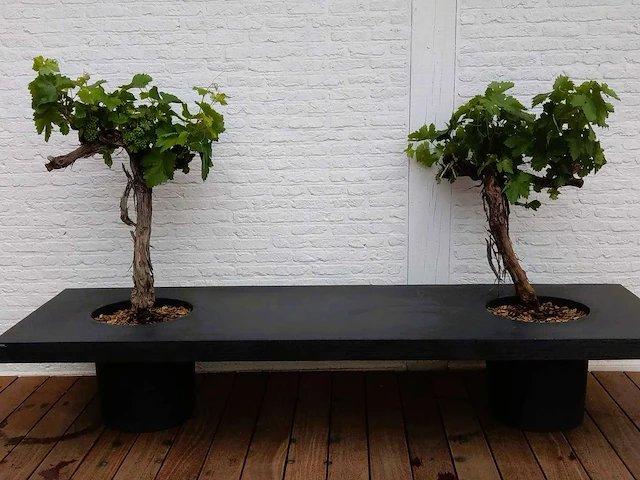 Potterypots e1210-s1 zitbank voorzien van plantenbak - afbeelding 1 van  6