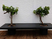 Potterypots e1210-s1 zitbank voorzien van plantenbak