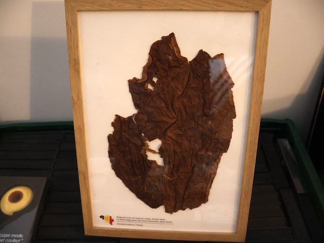 Poyat mini pijp - afbeelding 3 van  4