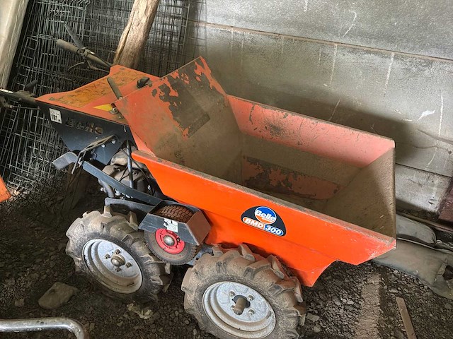 Prachtige kruiwagen - afbeelding 1 van  8