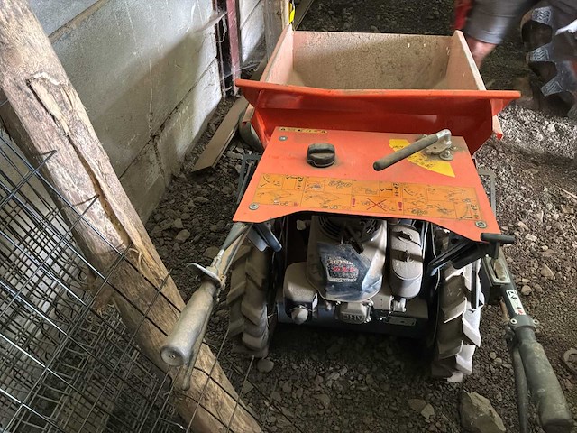 Prachtige kruiwagen - afbeelding 8 van  8