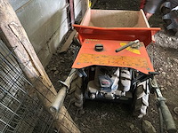 Prachtige kruiwagen - afbeelding 8 van  8