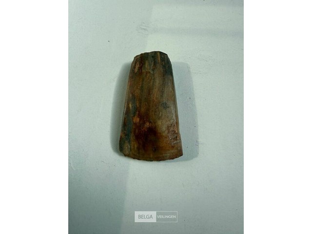 Prehistorisch bijl gevonden in azië - afbeelding 1 van  2