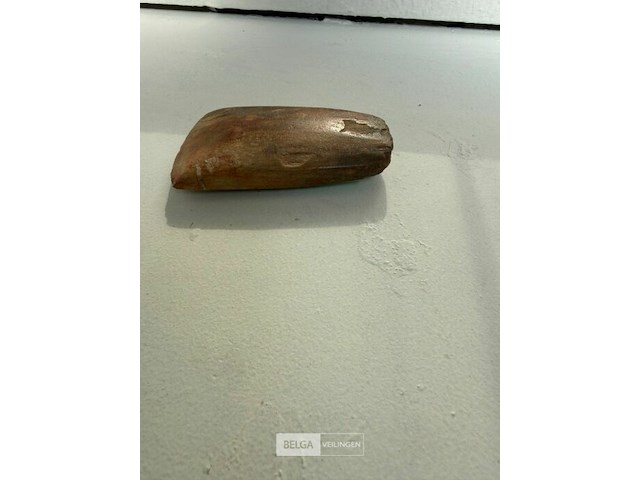 Prehistorisch bijl gevonden in azië - afbeelding 2 van  2