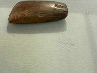 Prehistorisch bijl gevonden in azië - afbeelding 2 van  2