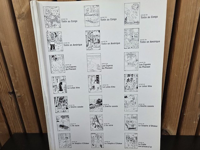 Prent en scheurboek tintin - afbeelding 4 van  6