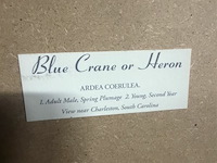 Prentkunst blue crane or heron - afbeelding 2 van  3