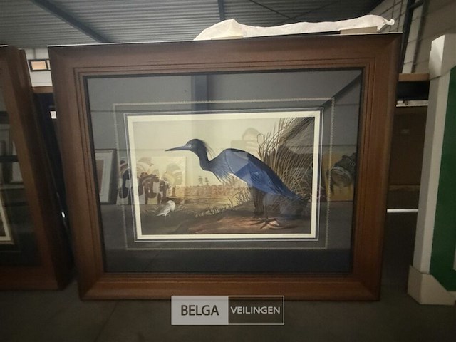 Prentkunst blue crane or heron - afbeelding 1 van  3
