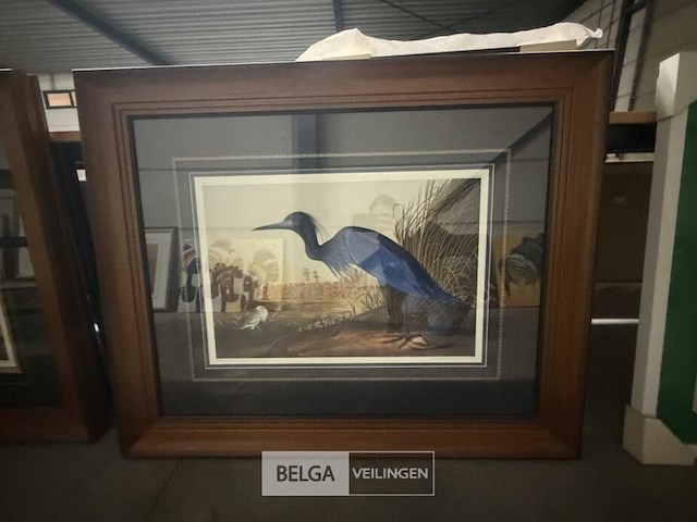 Prentkunst blue crane or heron - afbeelding 1 van  3
