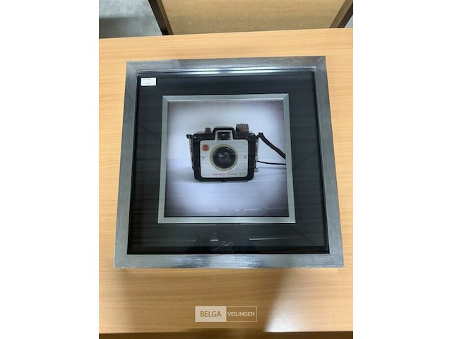 Prentkunst camera collections i - afbeelding 1 van  1