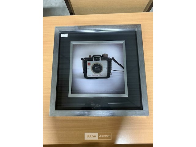 Prentkunst camera collections i - afbeelding 1 van  1