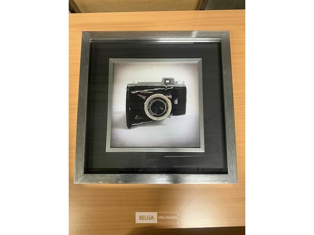 Prentkunst camera collections ii - afbeelding 1 van  1