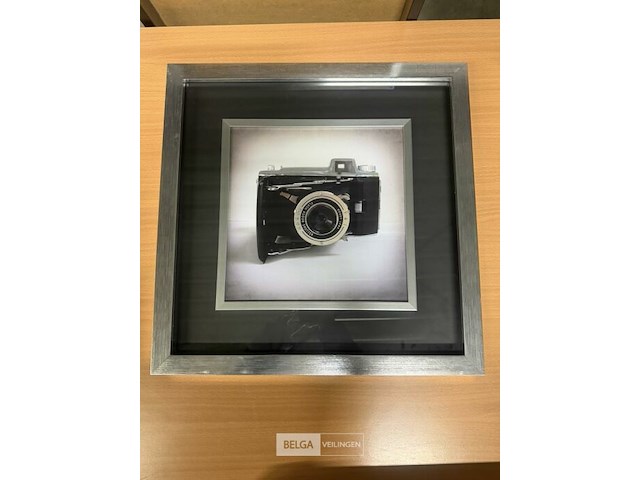 Prentkunst camera collections ii - afbeelding 1 van  1