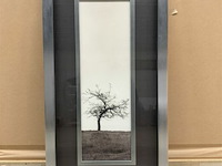 Prentkunst cherry blossom tree - afbeelding 1 van  1