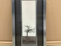 Prentkunst cherry blossom tree - afbeelding 1 van  1