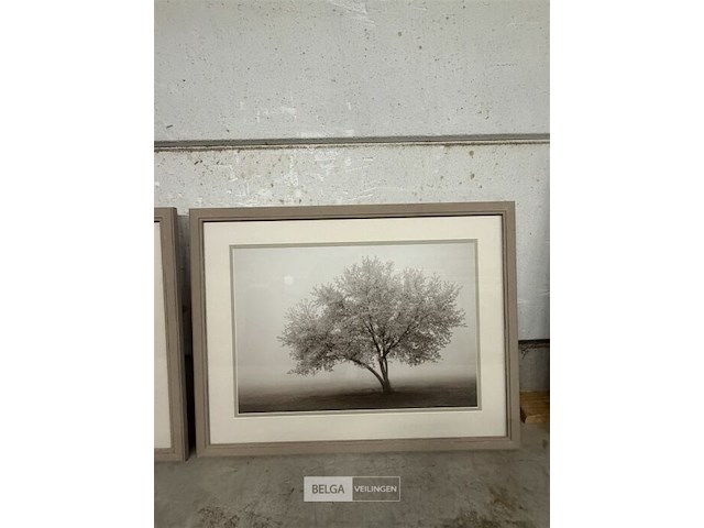 Prentkunst forever spring - afbeelding 1 van  1