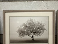 Prentkunst forever spring - afbeelding 1 van  1