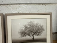 Prentkunst forever spring - afbeelding 1 van  1