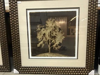 Prentkunst gilded tree iii