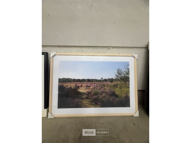 Prentkunst heide - afbeelding 1 van  1